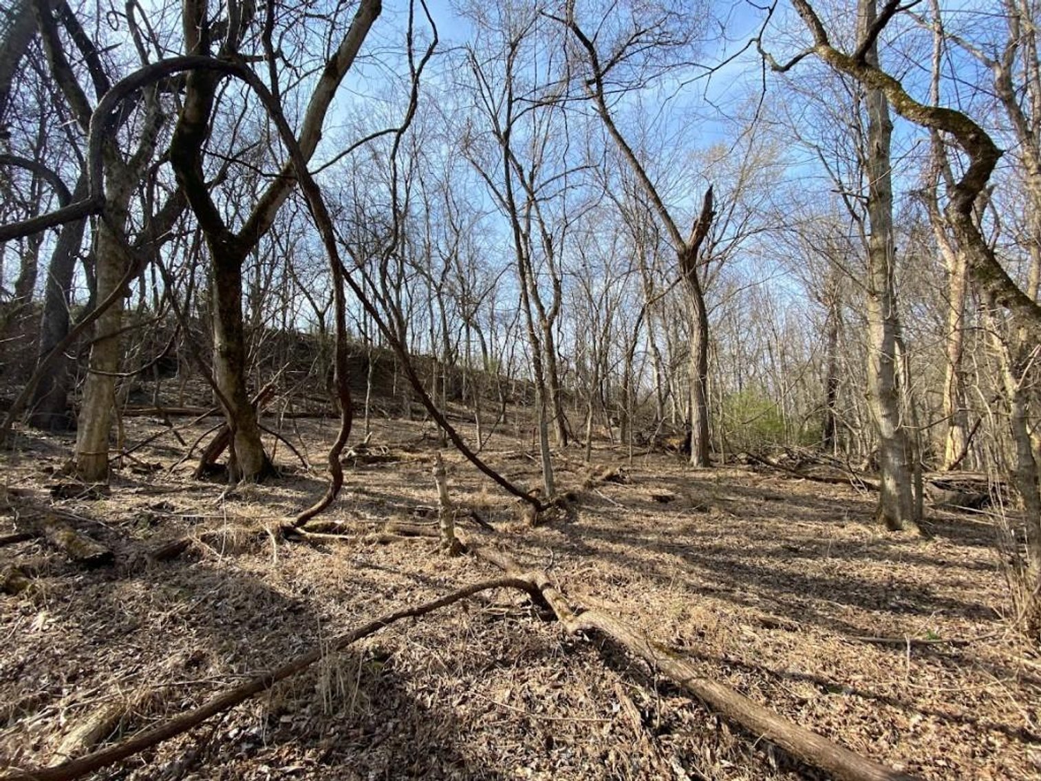 Image for ABSOLUTE ONLINE REAL ESTATE AUCTION