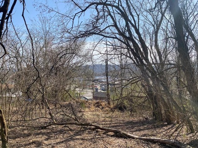 Image for ABSOLUTE ONLINE REAL ESTATE AUCTION