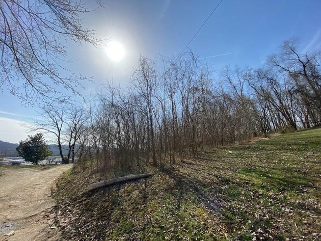 Image for ABSOLUTE ONLINE REAL ESTATE AUCTION