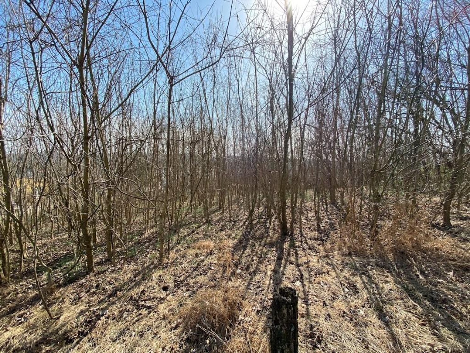 Image for ABSOLUTE ONLINE REAL ESTATE AUCTION