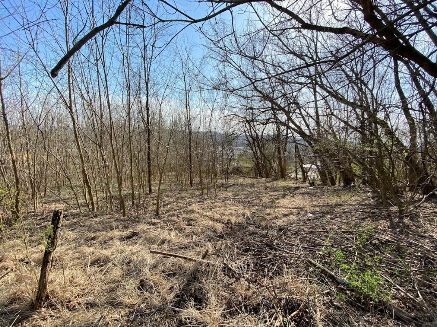 Image for ABSOLUTE ONLINE REAL ESTATE AUCTION