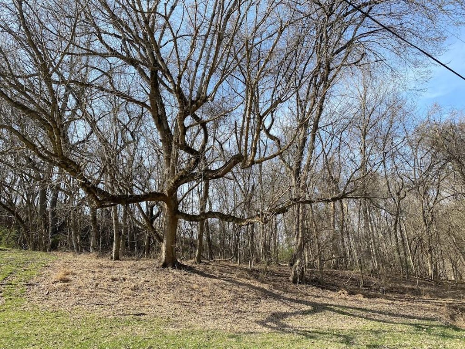 Image for ABSOLUTE ONLINE REAL ESTATE AUCTION