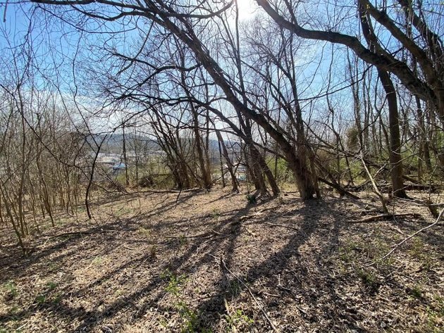 Image for ABSOLUTE ONLINE REAL ESTATE AUCTION