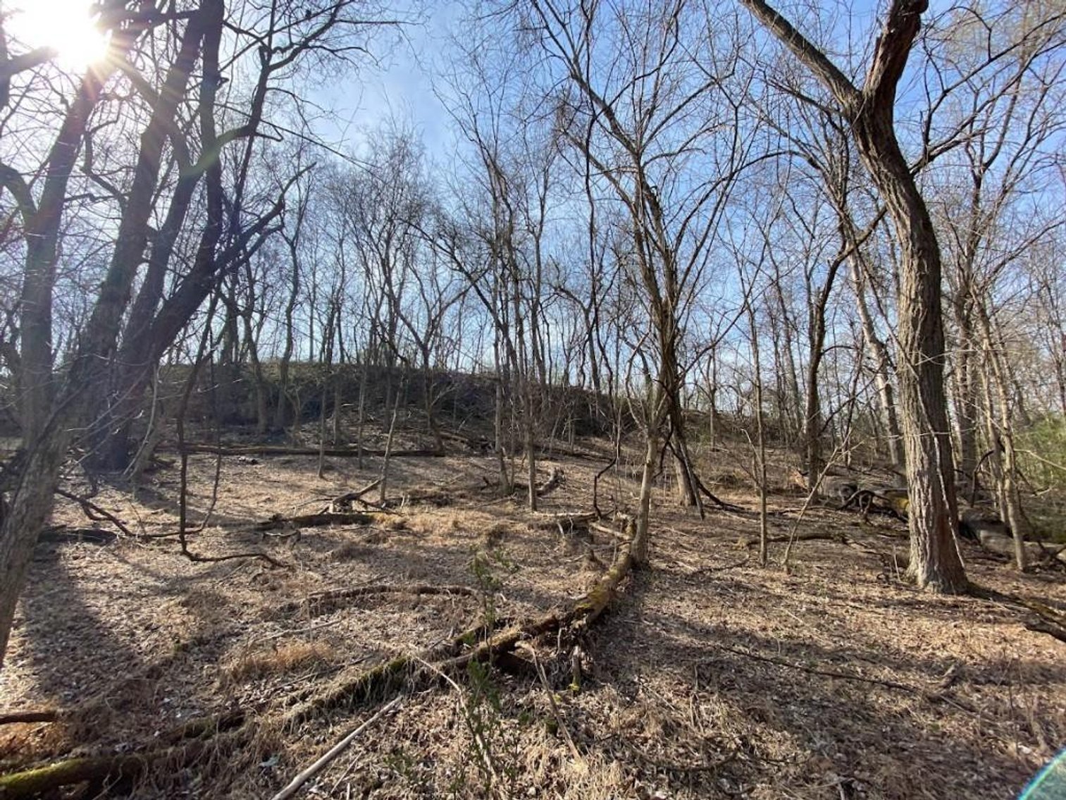 Image for ABSOLUTE ONLINE REAL ESTATE AUCTION