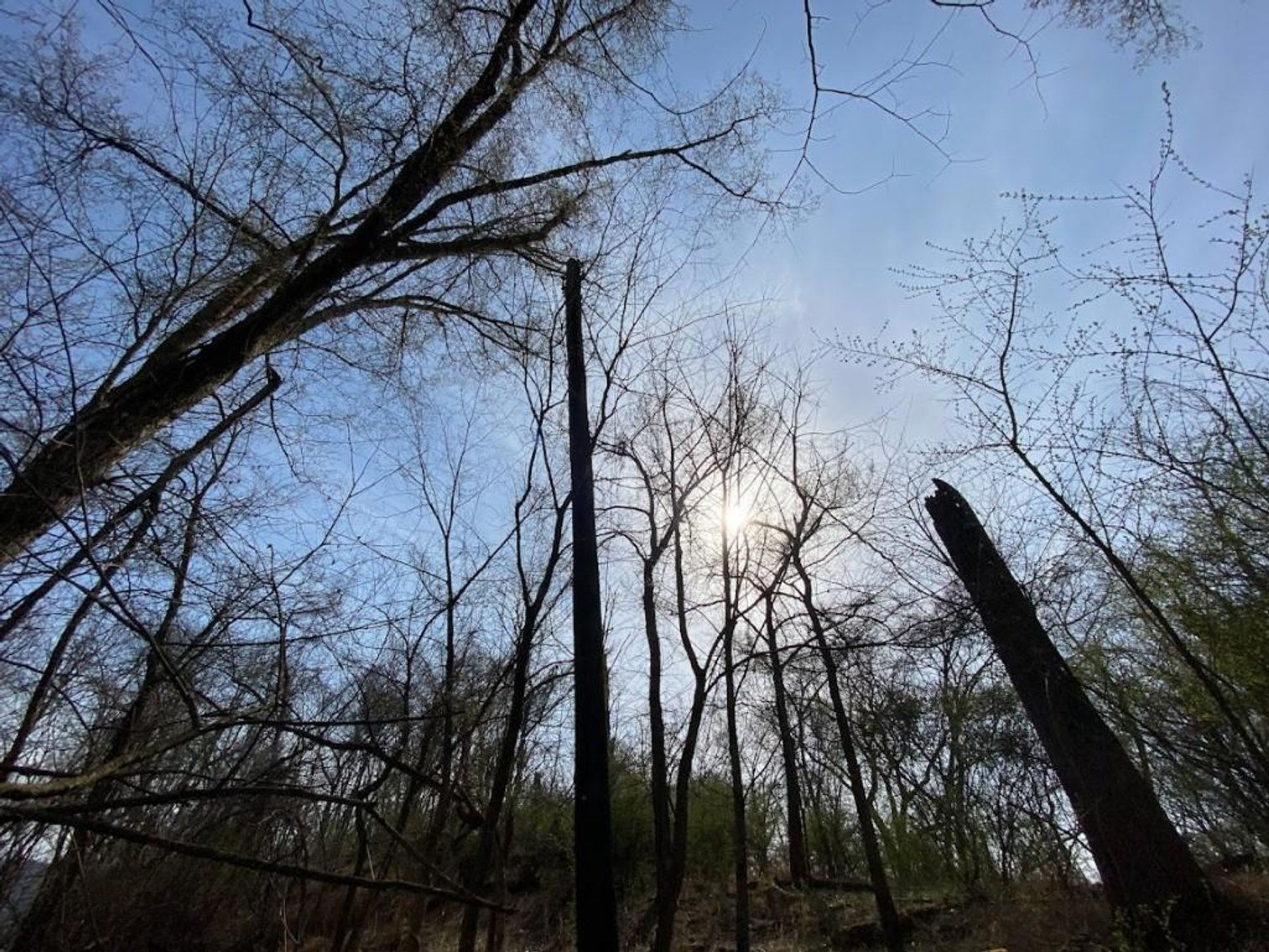 Image for ABSOLUTE ONLINE REAL ESTATE AUCTION