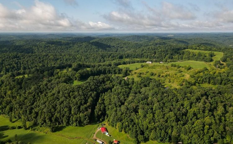 Image for Real Estate Auction ONLINE