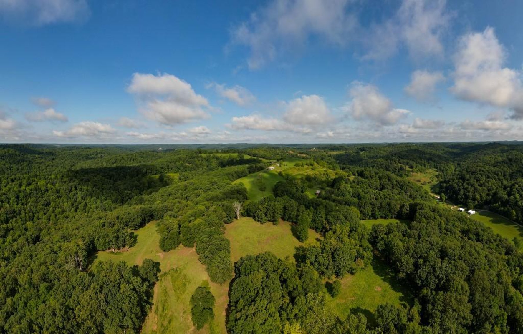 Image for Real Estate Auction ONLINE