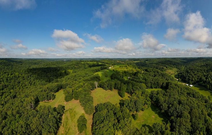 Image for Real Estate Auction ONLINE