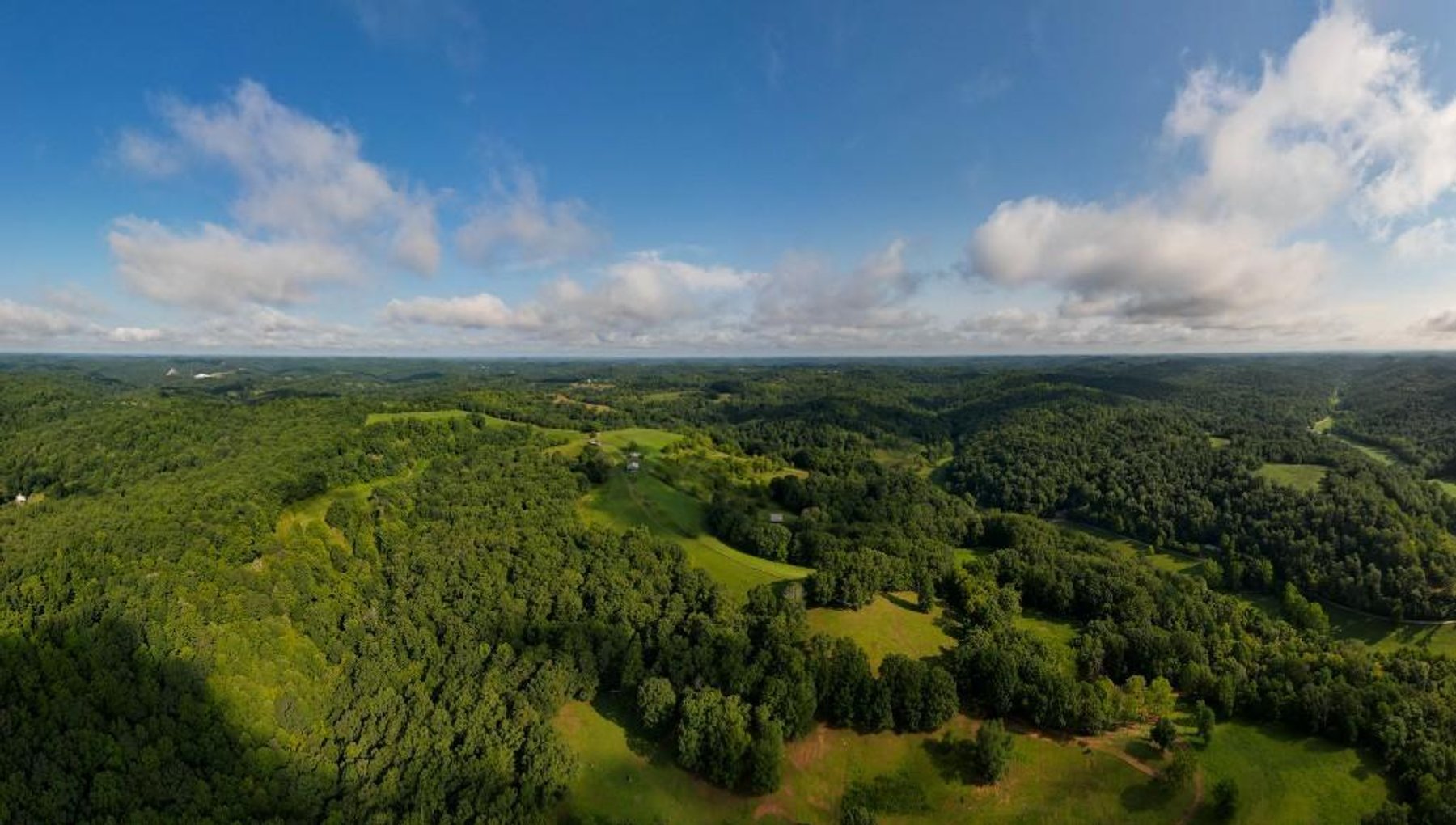 Image for Real Estate Auction ONLINE