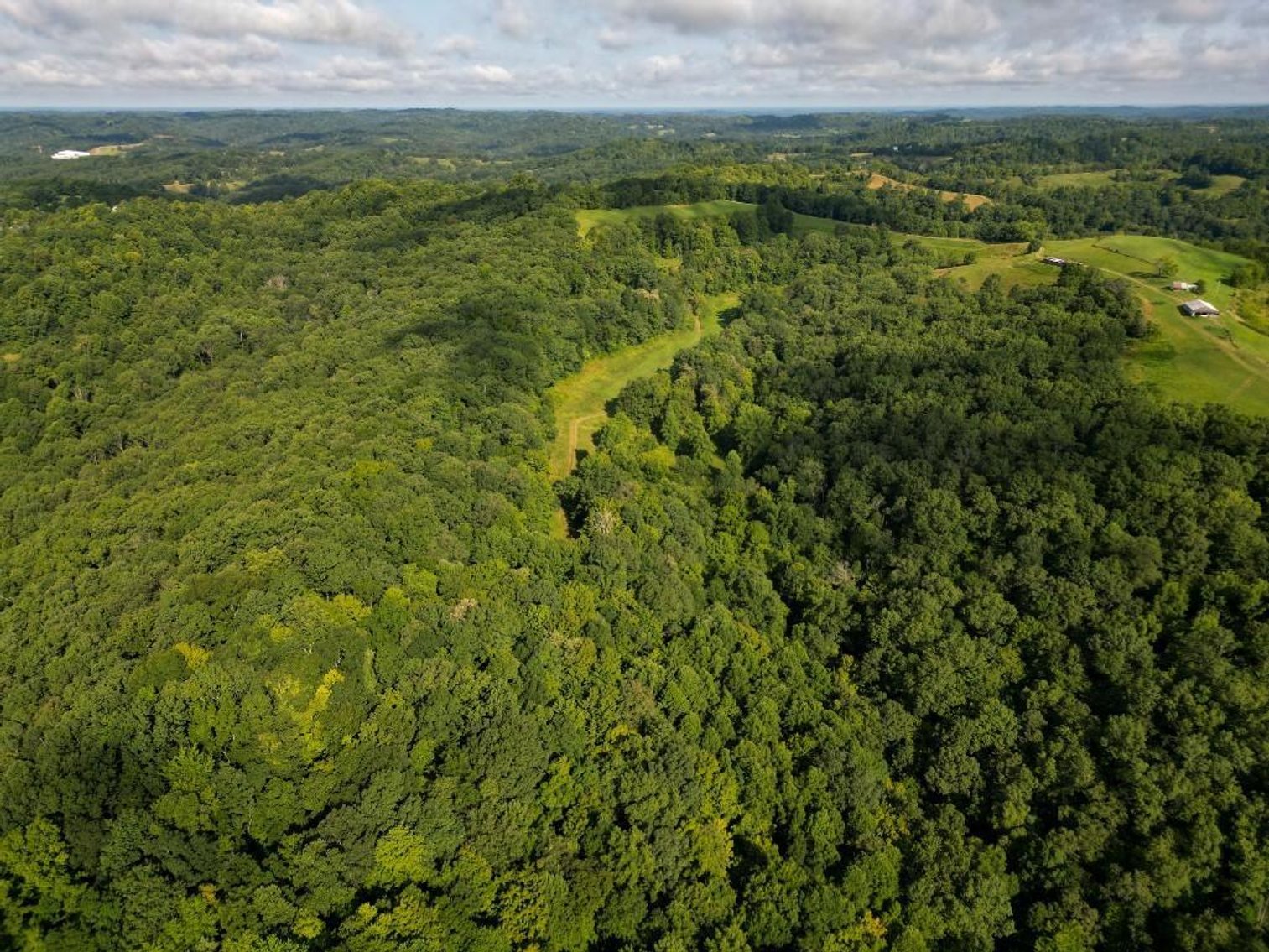 Image for Real Estate Auction ONLINE