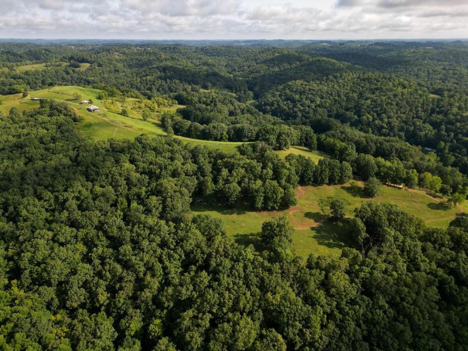 Image for Real Estate Auction ONLINE