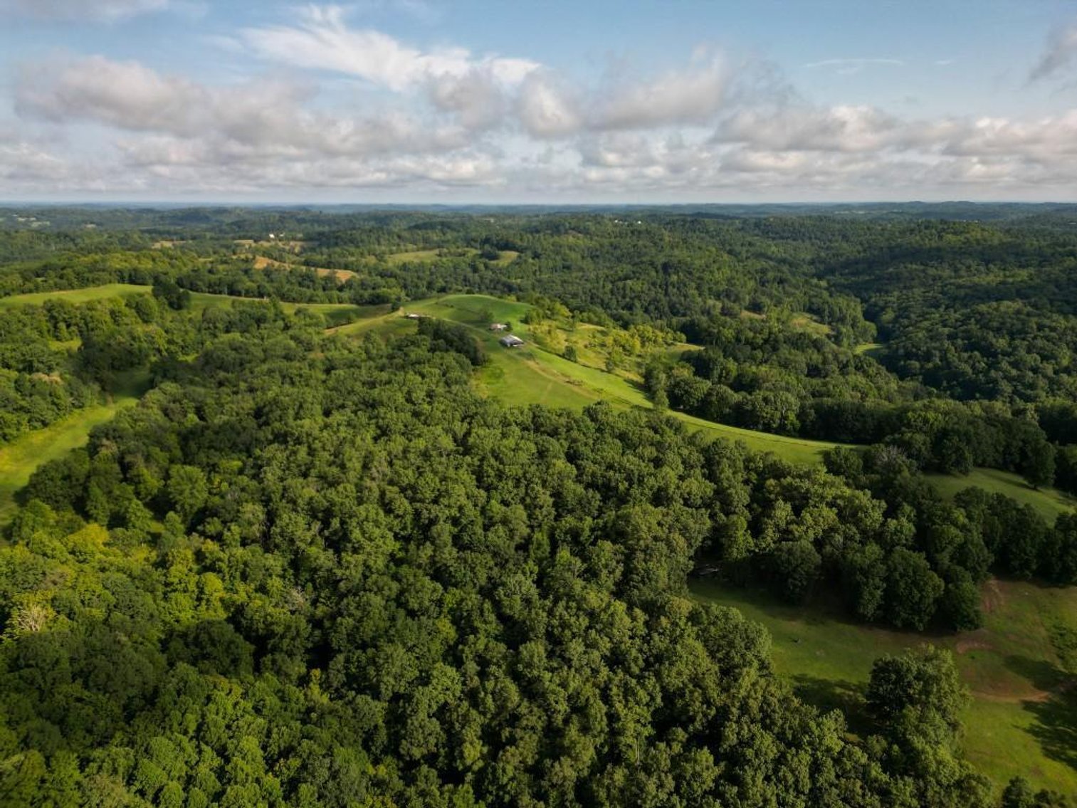 Image for Real Estate Auction ONLINE