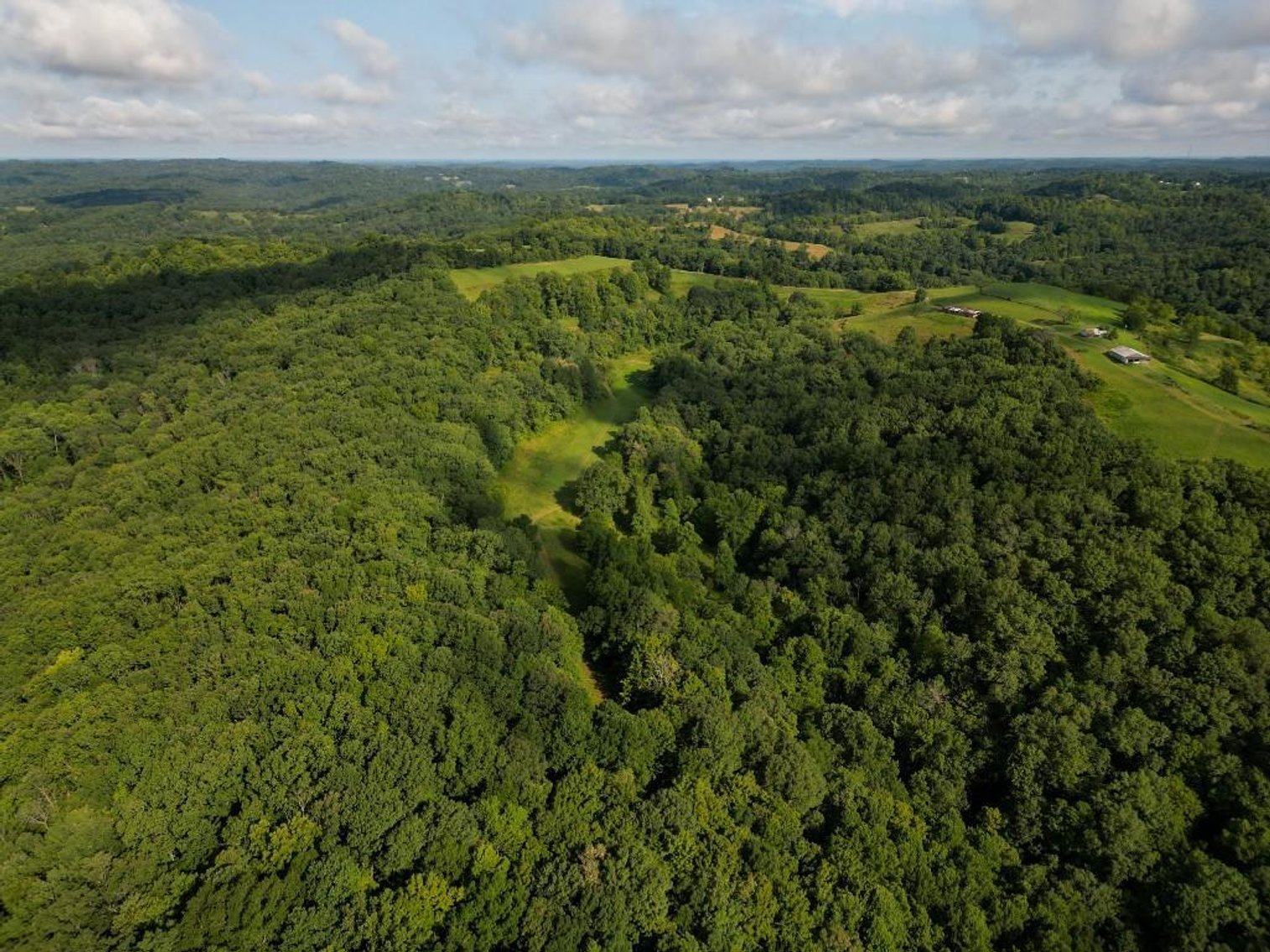 Image for Real Estate Auction ONLINE