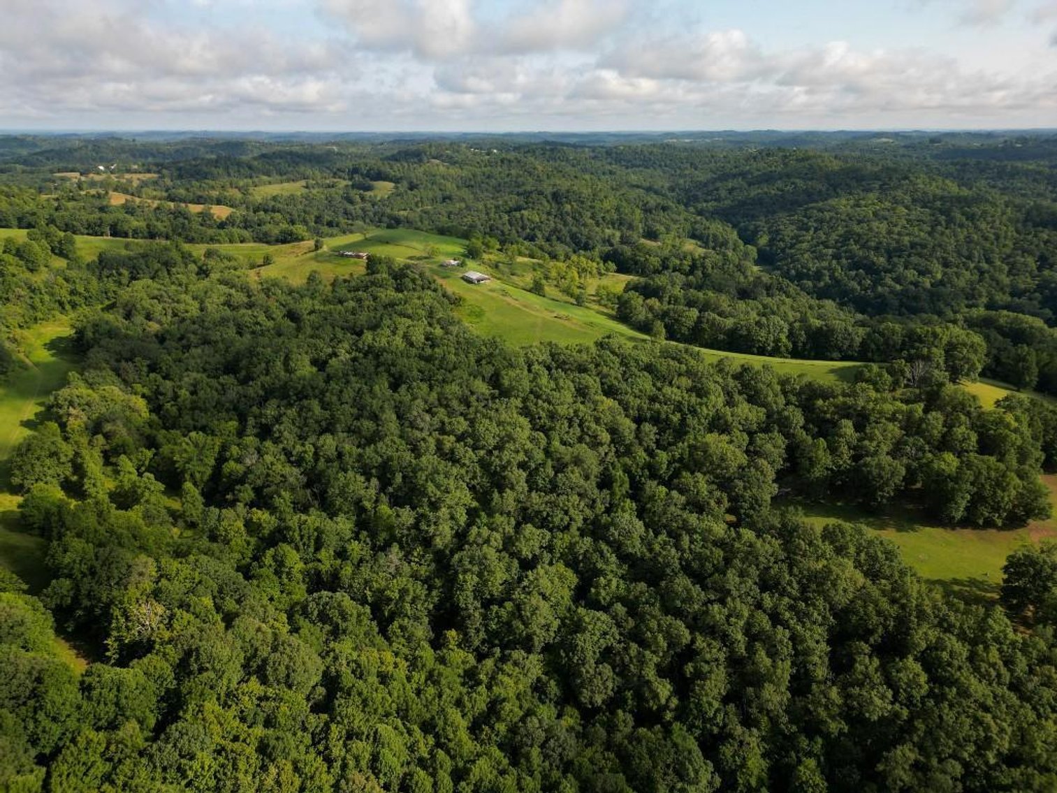 Image for Real Estate Auction ONLINE