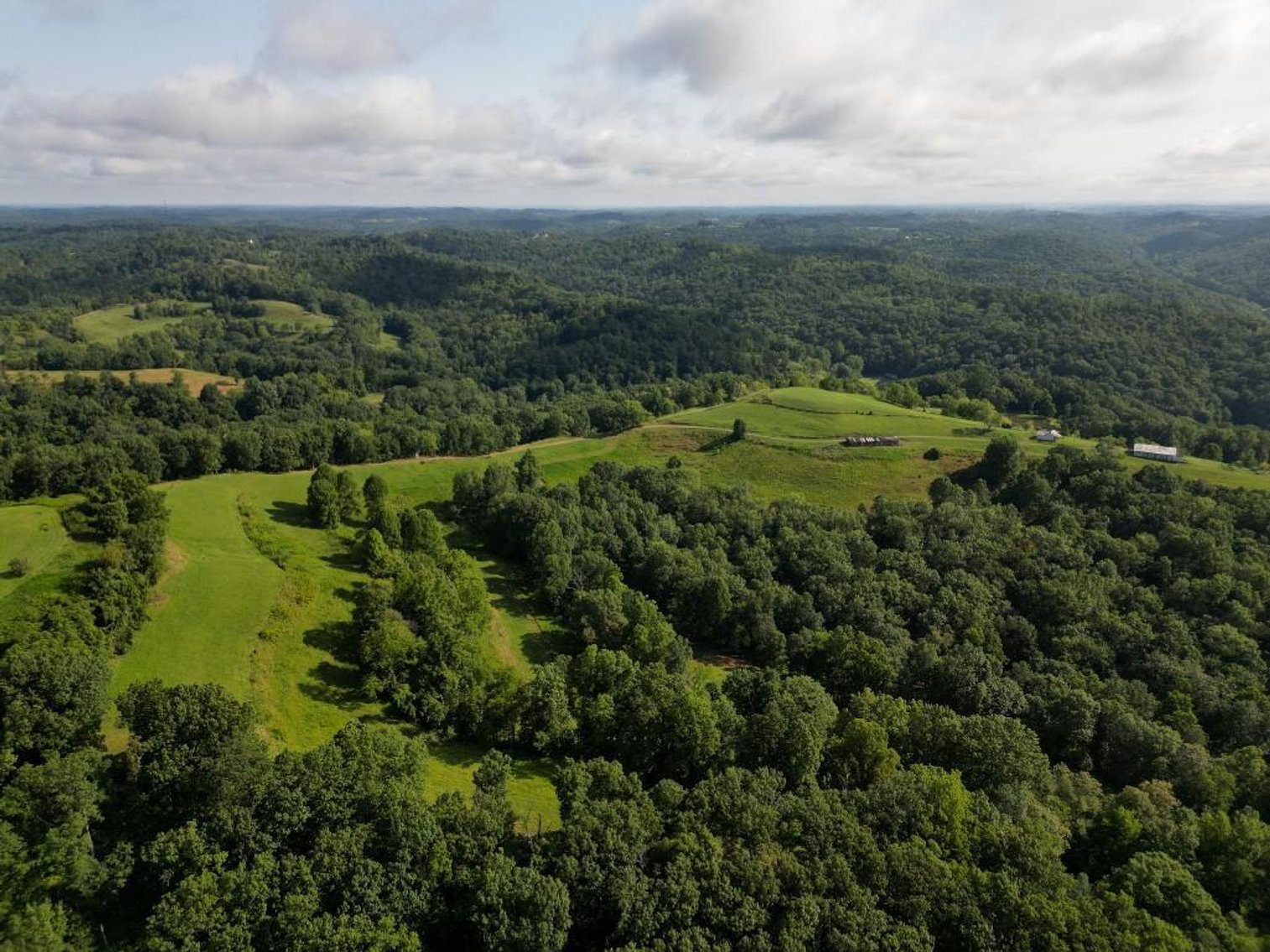 Image for Real Estate Auction ONLINE