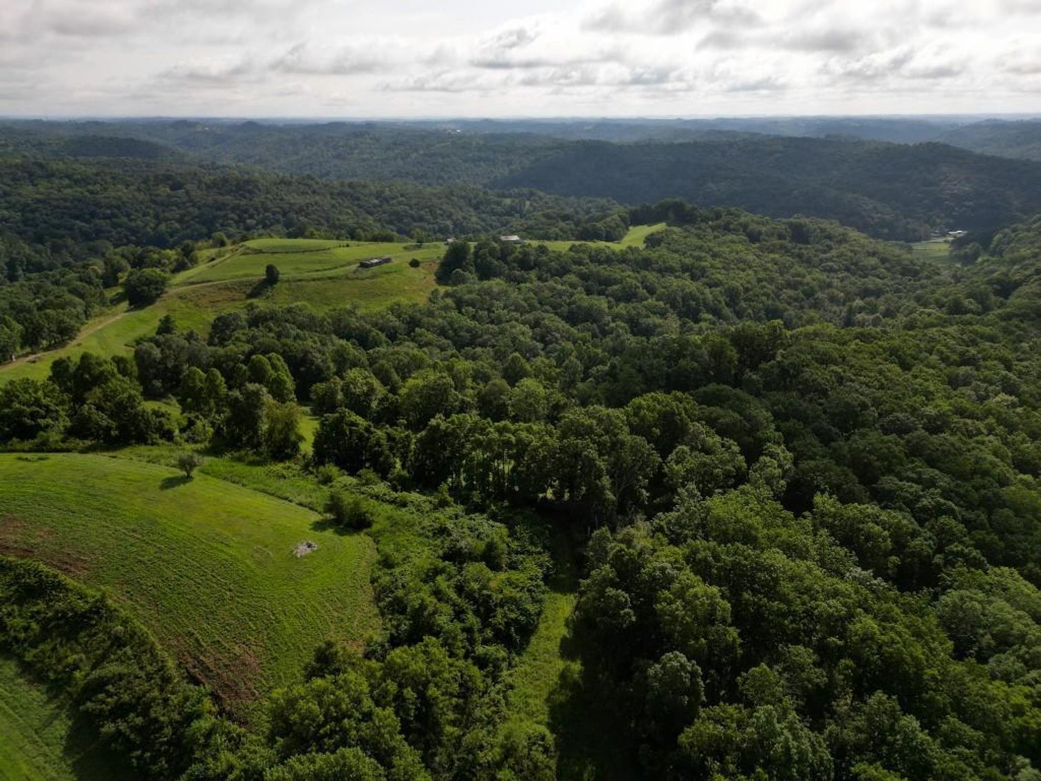 Image for Real Estate Auction ONLINE