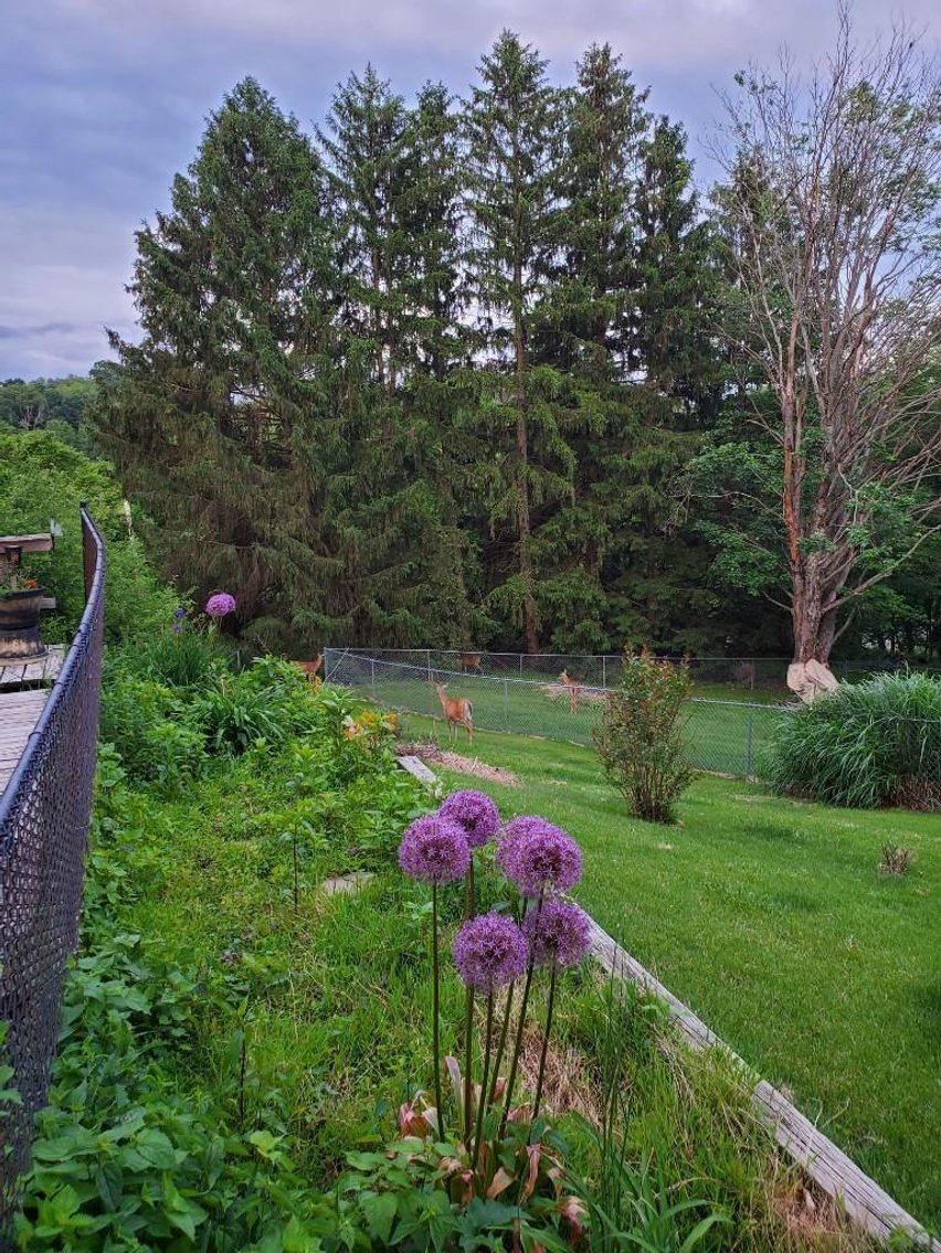 Image for Real Estate Auction ONLINE