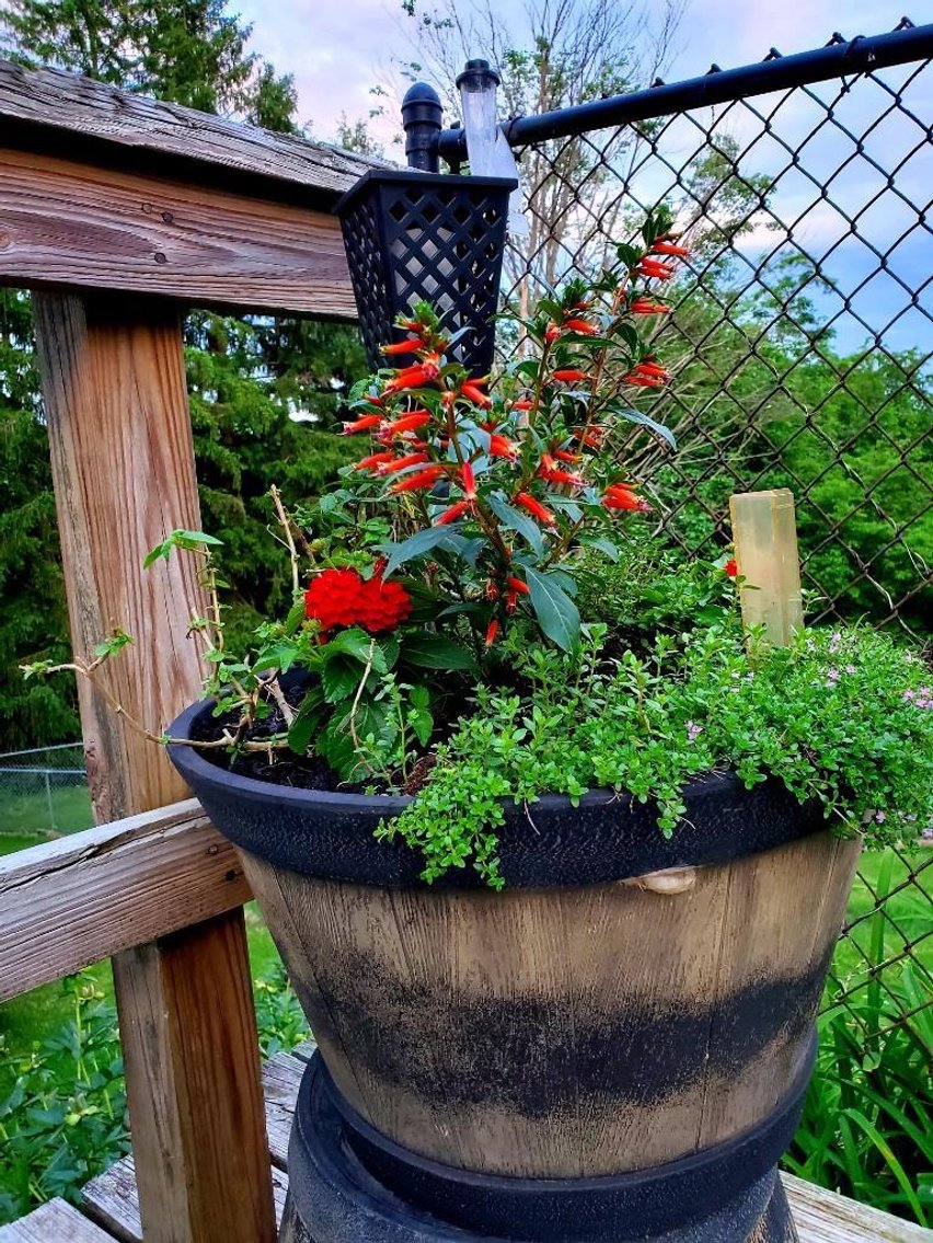 Image for Real Estate Auction ONLINE