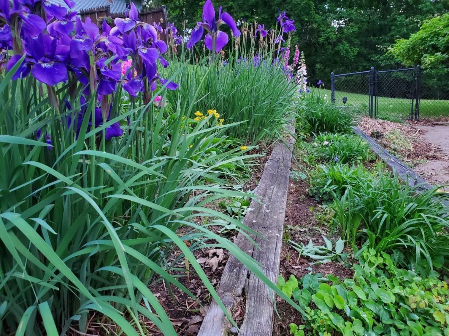 Image for Real Estate Auction ONLINE