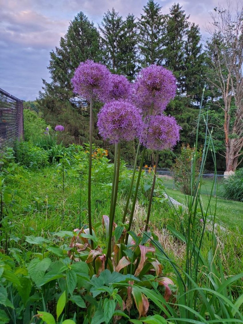 Image for Real Estate Auction ONLINE