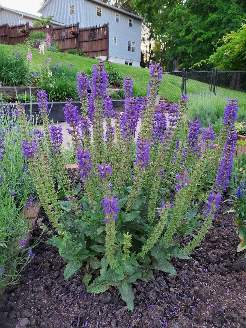 Image for Real Estate Auction ONLINE