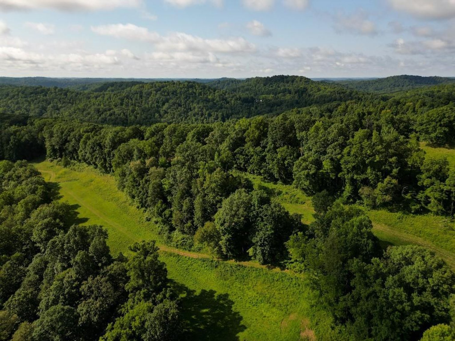 Image for Real Estate Auction ONLINE