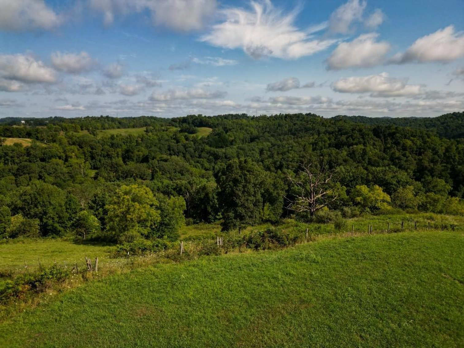 Image for Real Estate Auction ONLINE