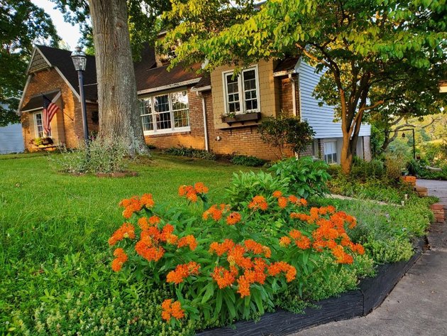 Image for Real Estate Auction ONLINE