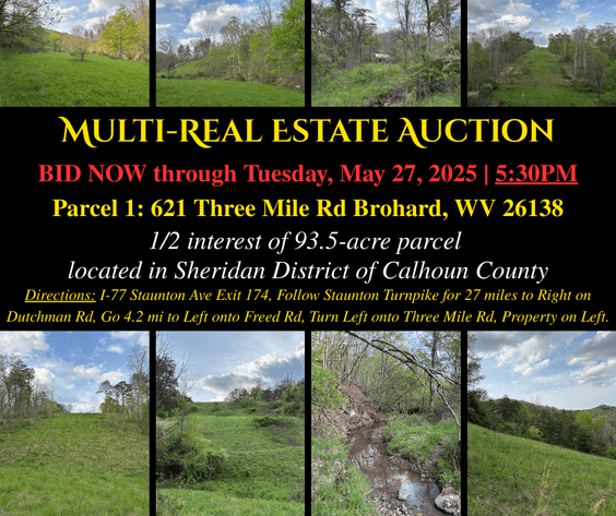 Image for Multi-Real Estate Auction ONLINE