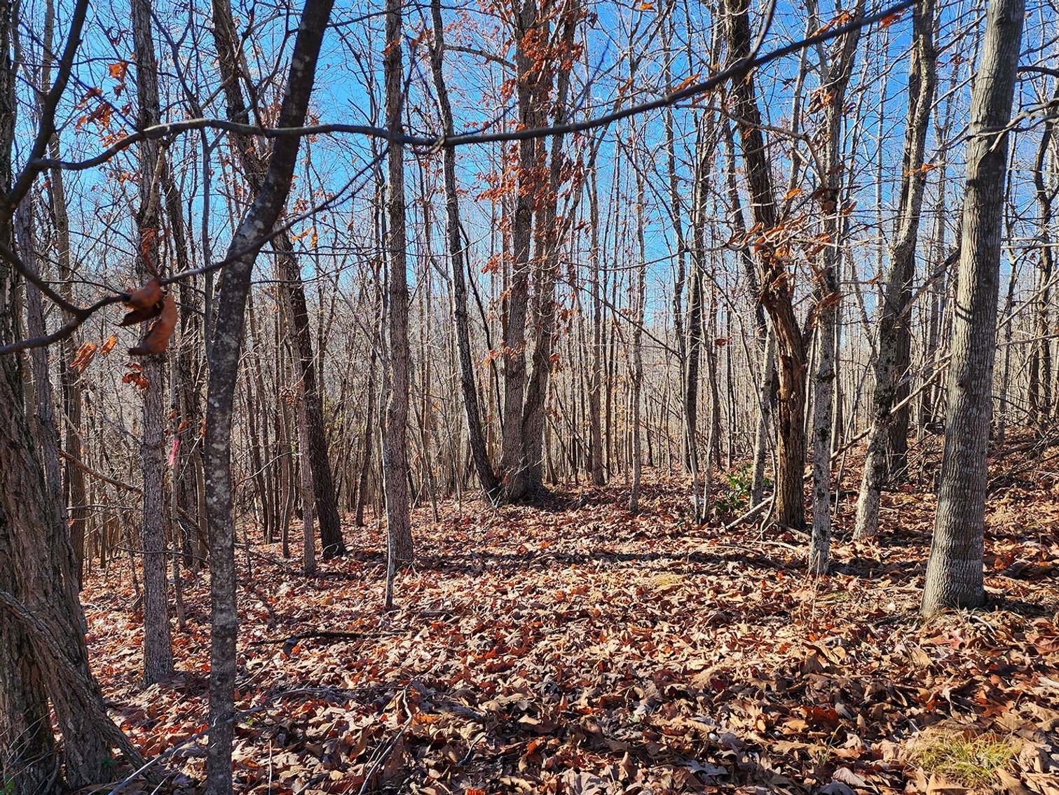 Image for 94 Acres in Madison Heights