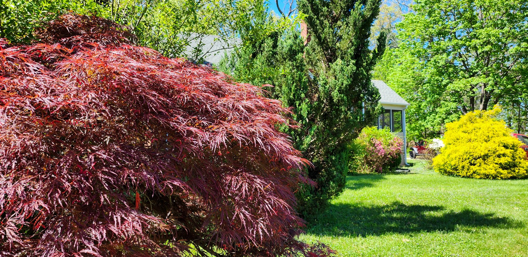 Image for 709 Old Graves Mill Rd