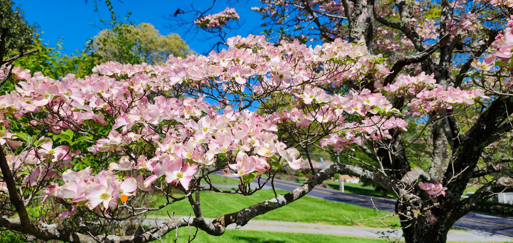 Image for 709 Old Graves Mill Rd