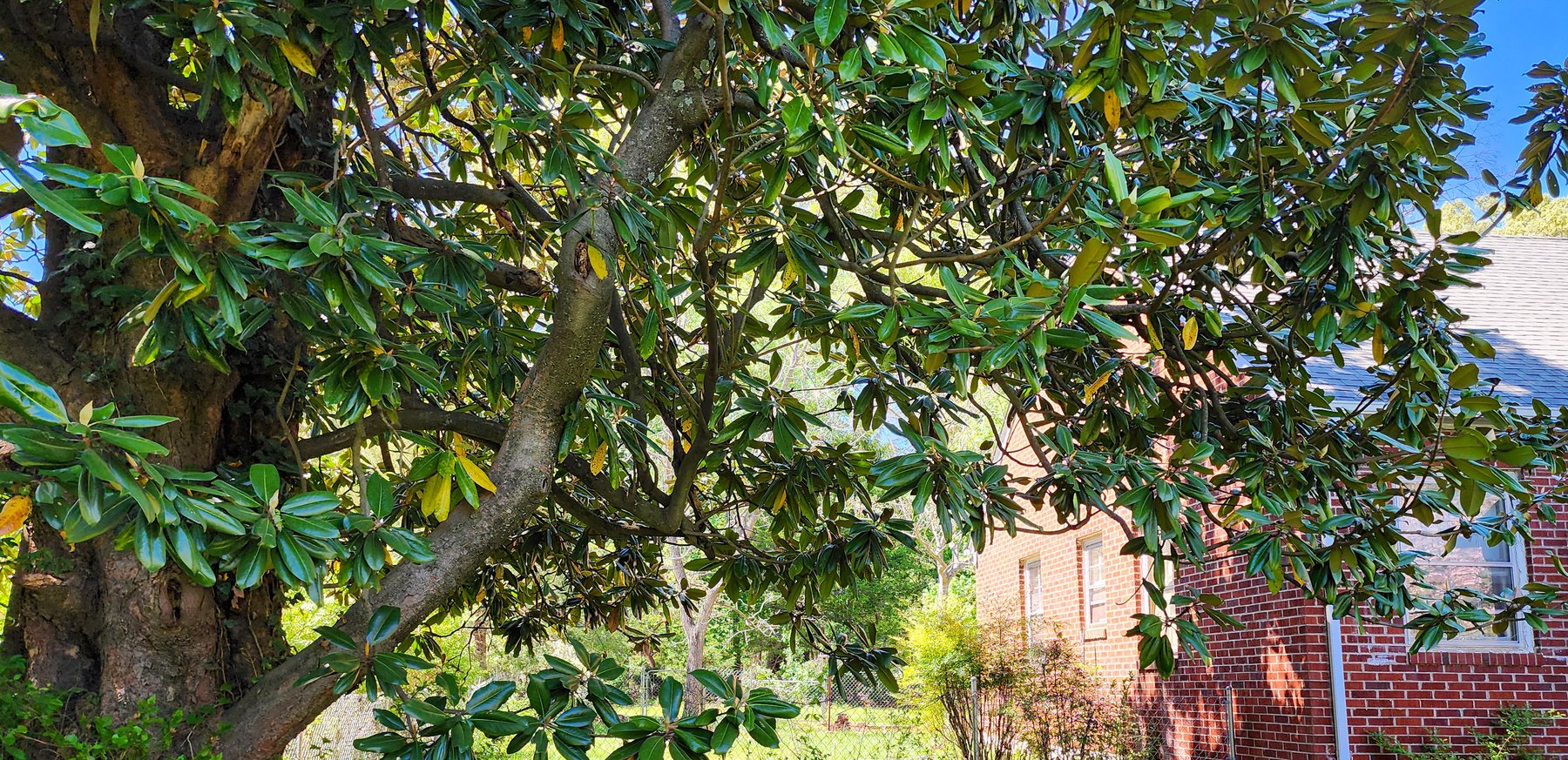 Image for 709 Old Graves Mill Rd