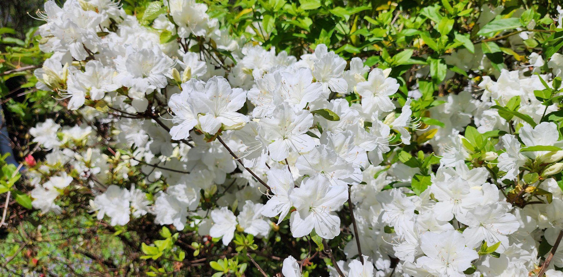 Image for 709 Old Graves Mill Rd