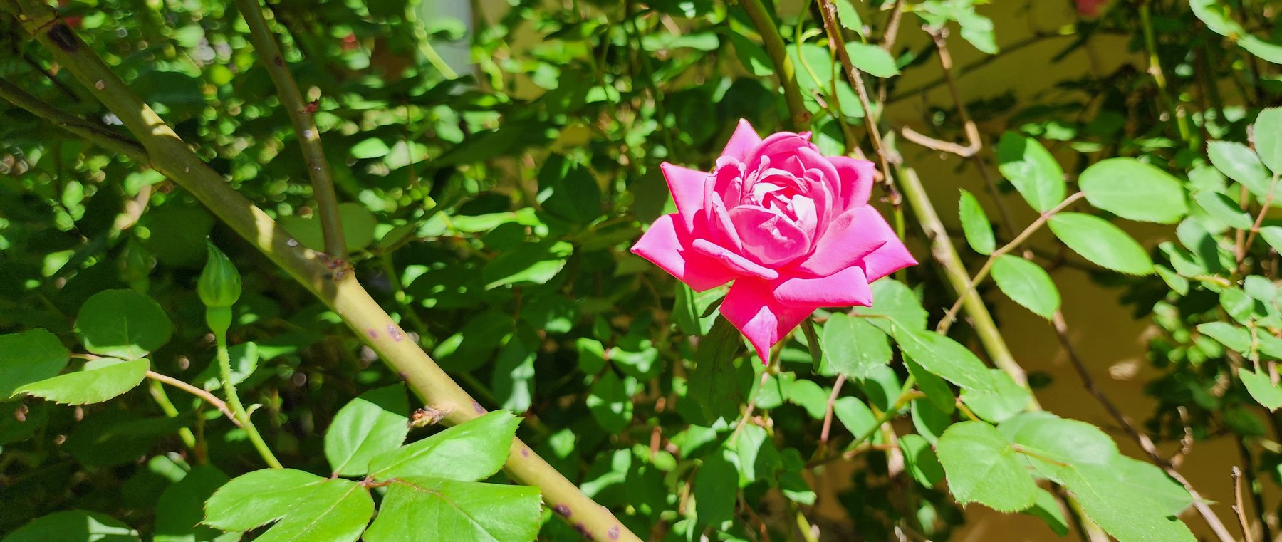 Image for 709 Old Graves Mill Rd