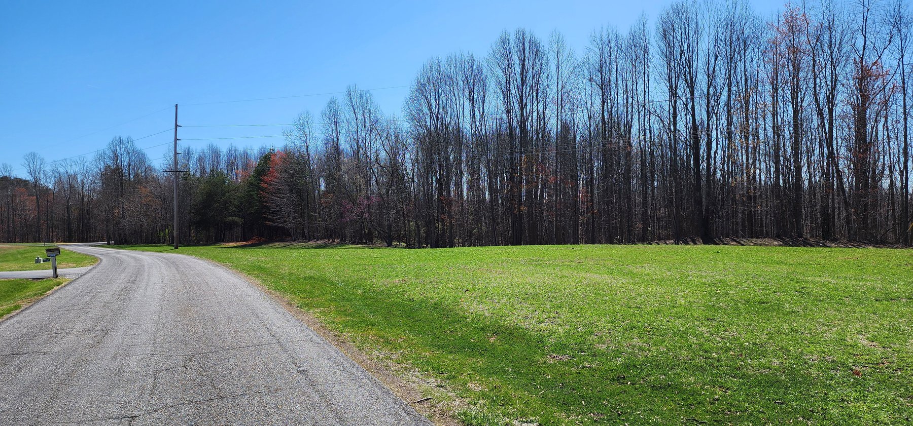 Image for 99 Acres in Henry County, VA