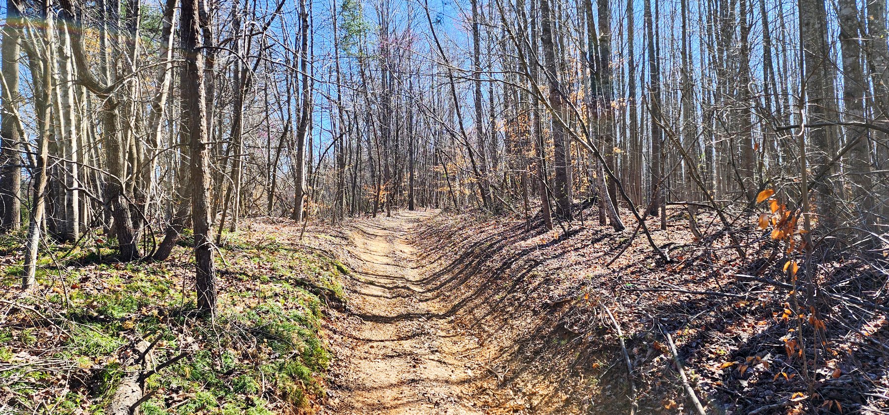 Image for 99 Acres in Henry County, VA