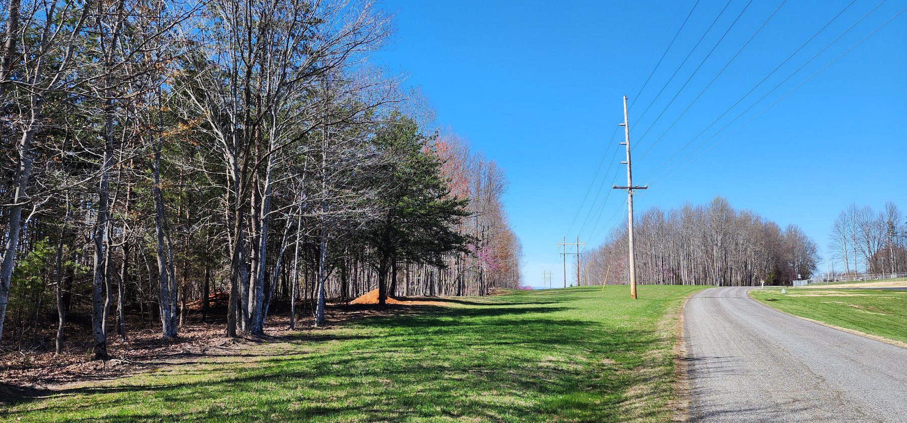 Image for 99 Acres in Henry County, VA