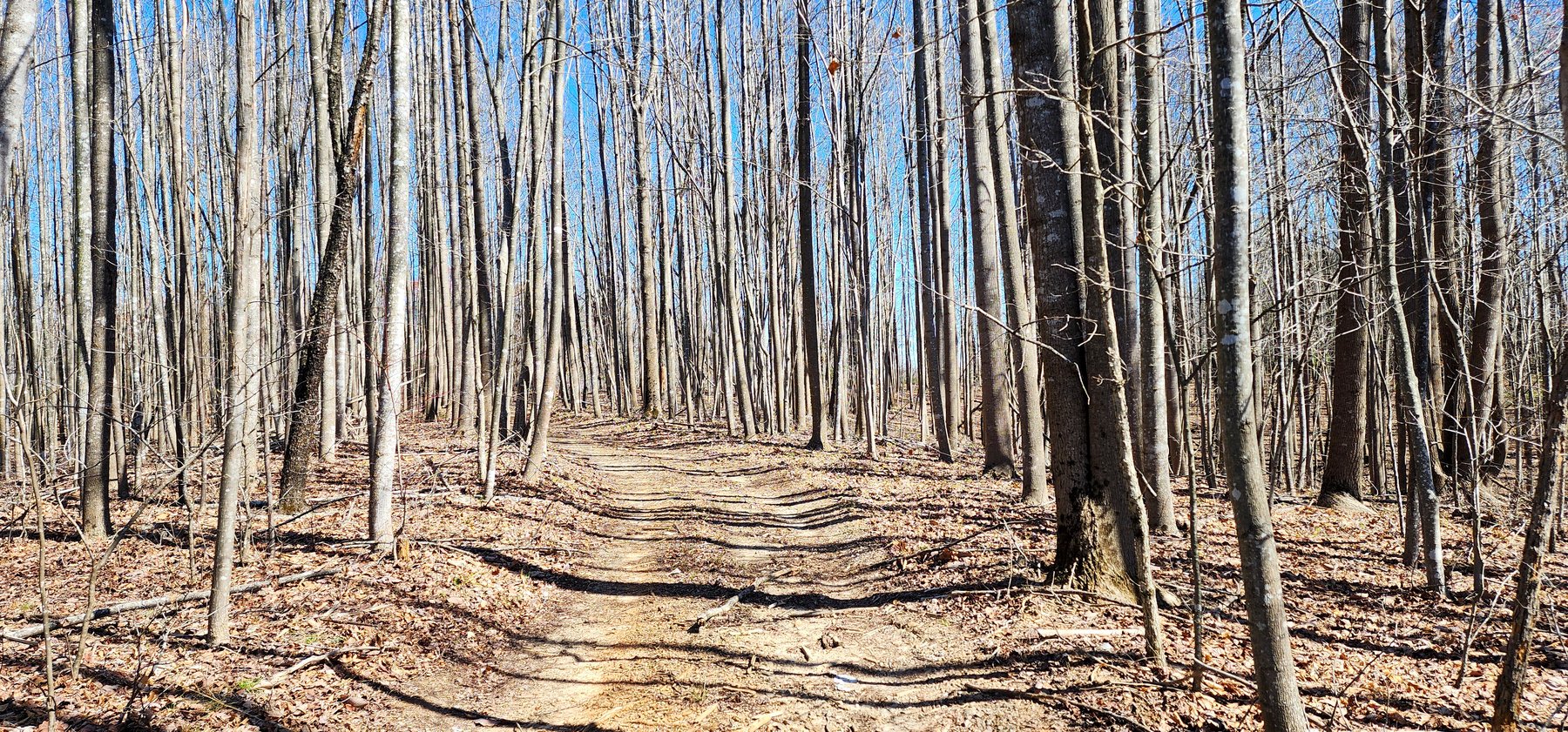 Image for 99 Acres in Henry County, VA