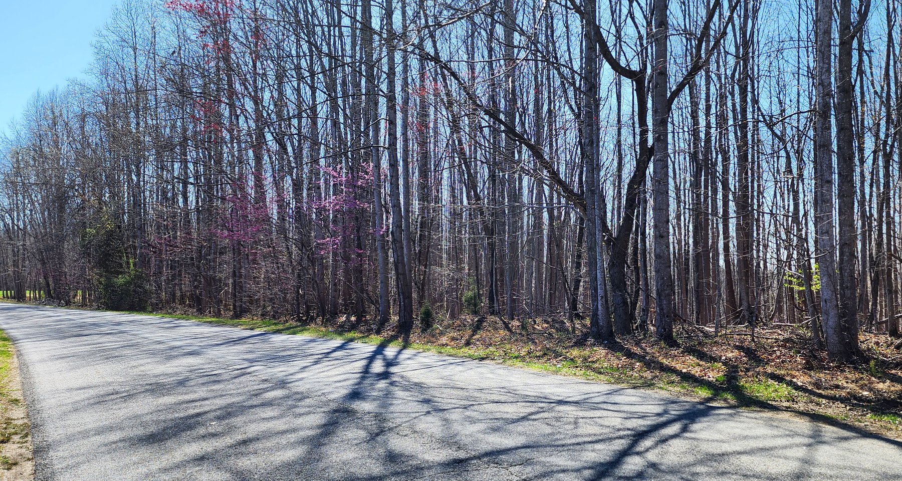 Image for 99 Acres in Henry County, VA