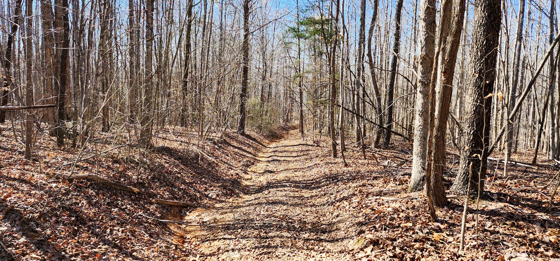 Image for 99 Acres in Henry County, VA