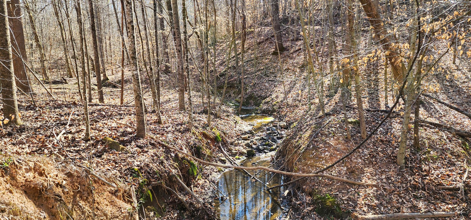 Image for 99 Acres in Henry County, VA