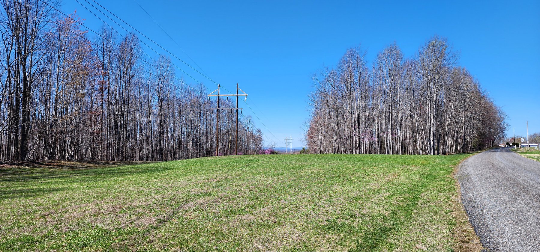 Image for 99 Acres in Henry County, VA