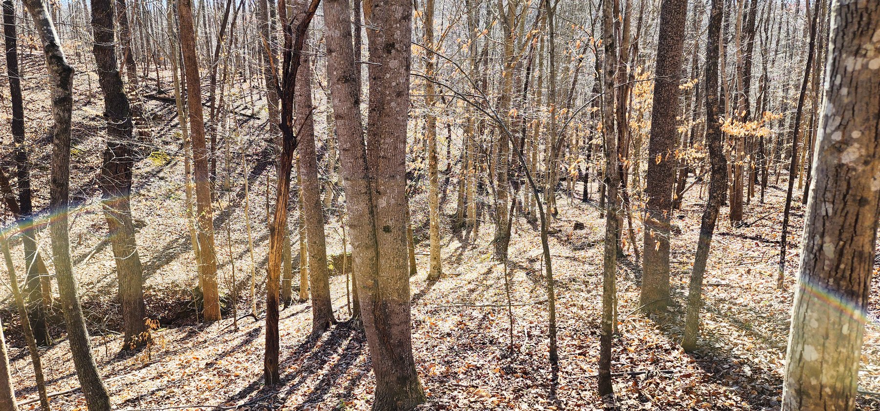 Image for 99 Acres in Henry County, VA
