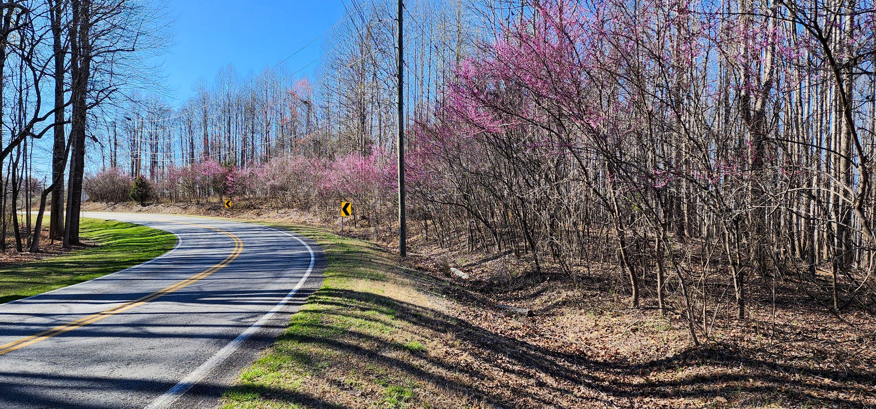 Image for 99 Acres in Henry County, VA