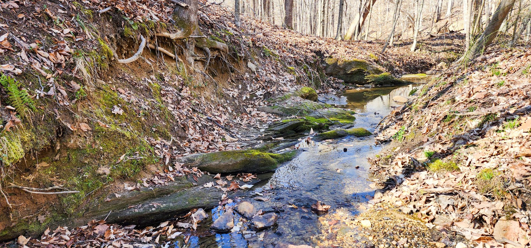 Image for 99 Acres in Henry County, VA