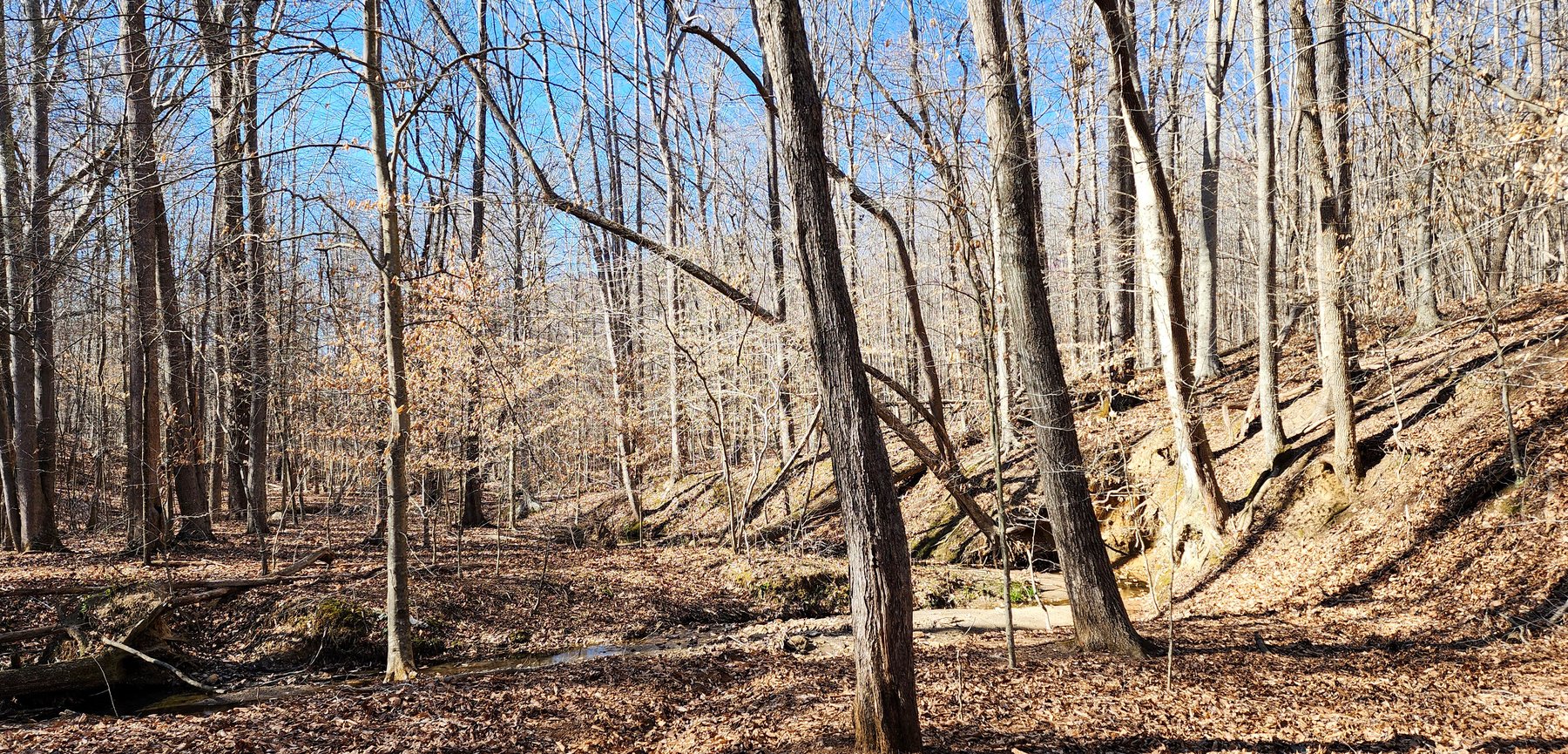 Image for 99 Acres in Henry County, VA