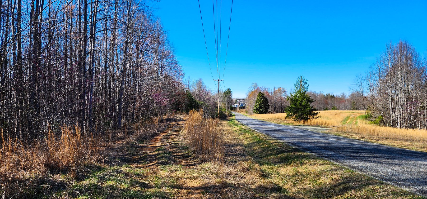 Image for 99 Acres in Henry County, VA