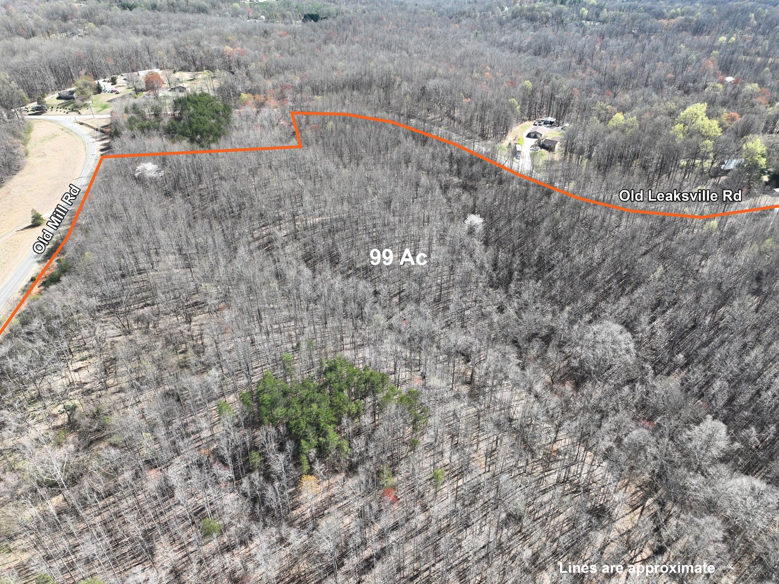 Image for 99 Acres in Henry County, VA