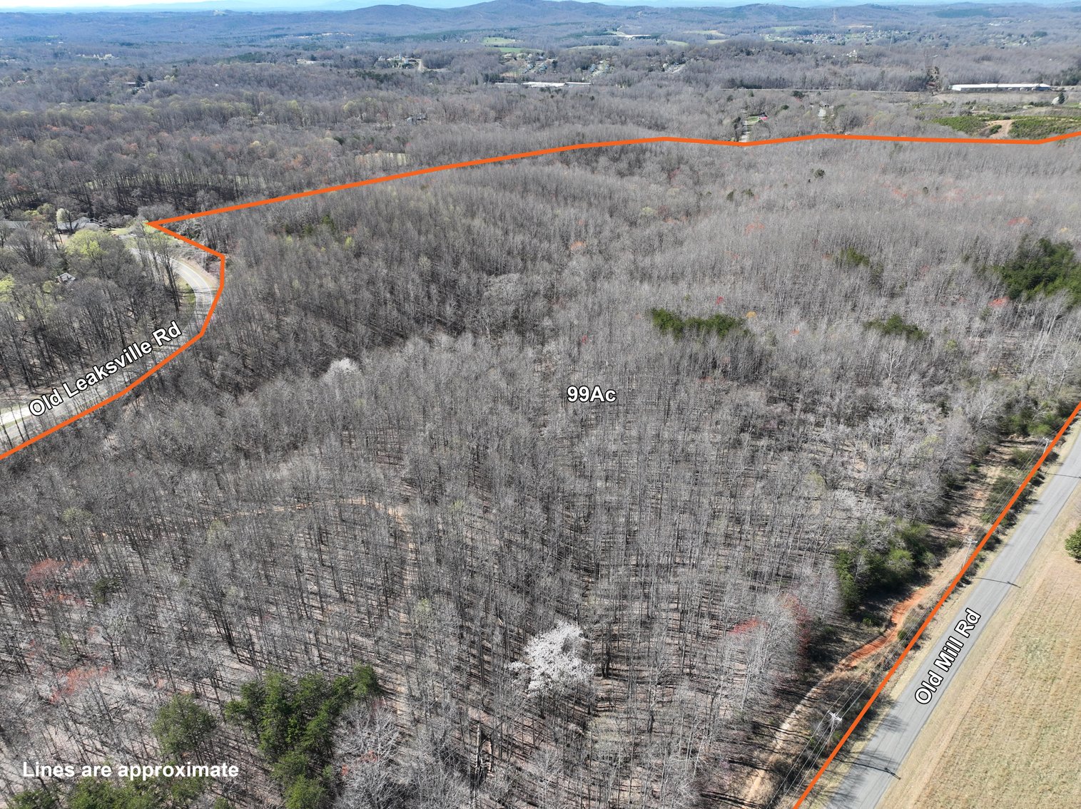 Image for 99 Acres in Henry County, VA
